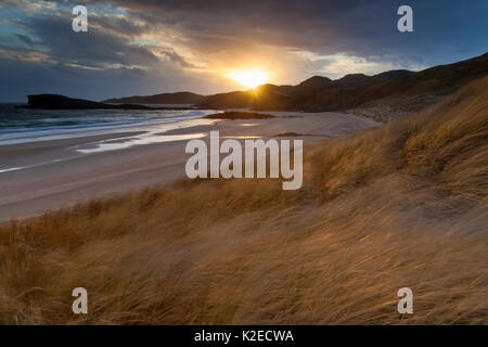 Oldshoremore Strand und Dünen im Abendlicht, Kinlochbervie, Sutherland, Schottland, UK, April 2014. Stockfoto