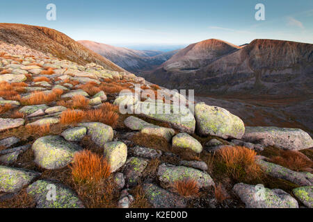 Der Engel Peak, Cairn Toul und Sgor ein Lochan Uaine von Braeriach, Cairngorms National Park, Schottland, UK, September 2013. Stockfoto