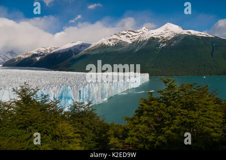 Perito Moreno Gletscher, Nationalpark Los Glaciares, Santa Cruz, Patagonien, Argentinien. Februar 2010. Stockfoto