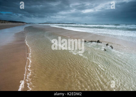 Wrack der Brig Athena ausgesetzt auf einer Ebbe, in der Nähe der Llanddwyn Island, Rhosneigr, Anglesey, Wales, UK, September 2016 Stockfoto