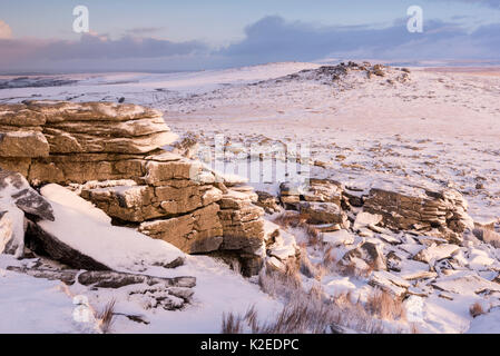 Große Heften Tor fallen im Schnee in der Morgendämmerung, Nationalpark Dartmoor, Devon, England, UK. Januar 2015. Stockfoto