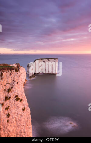 Old Harry Rocks in der Dämmerung, in Richtung der Insel Wight, Studland, Dorset, England, UK. September 2015. Stockfoto