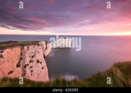 Old Harry Rocks in der Dämmerung, in Richtung der Insel Wight, Studland, Dorset, England, UK. September 2015. Stockfoto