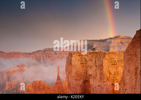 Regenbogen nach einem Sturm über Bryce Canyon National Park, Utah, USA. Stockfoto