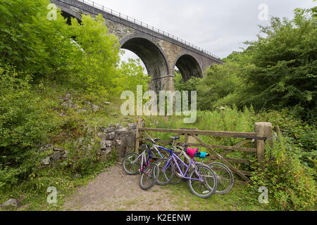 Fahrräder in der Nähe der Grabstein Viadukt geparkt, Teil der Monsal Trail cycle Route, Nationalpark Peak District, Derbyshire, UK Juli Stockfoto