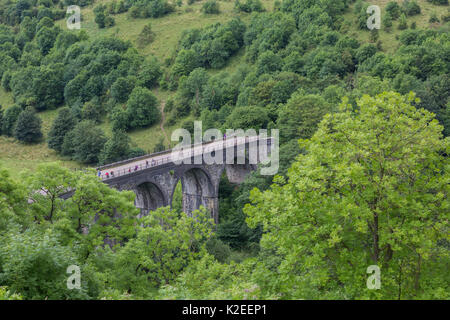 Wanderer und Radfahrer auf den Grabstein Viadukt, die Kreuze Monsal Dale und den Fluss Wye, und ist Teil der Monsal Trail cycle Route. Nationalpark Peak District, Derbyshire, UK Juli Stockfoto