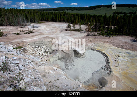 Sulphur Caldron im Schlamm Vulkan, Hayden Valley, Yellowstone National Park, Wyoming, USA, Juni 2015 Stockfoto