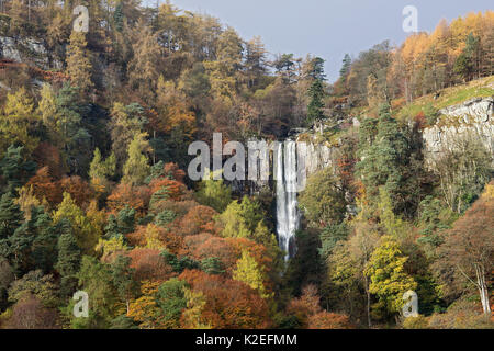 Pistyll Rhaeadr Wasserfall im Herbst - Höchste in Wales in der Nähe von Llanrhaeadr-ym-Mochnant, Powys, North Wales, UK, November 2016. Stockfoto