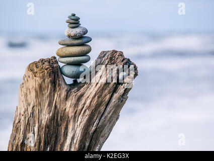 Ein Stapel von Steinen in der armbeuge ein Stück Treibholz auf Rialto Beach auf der Washington Coast, Olympic National Park, USA. Stockfoto