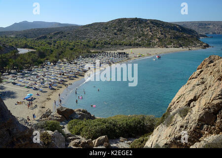 Übersicht der Strand von Vai und die kretische Dattelpalme (Phoenix theophrasti) Wald in peak Tourismus Saison, Lasithi, Kreta, Griechenland, Juli. Stockfoto