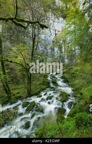 Fluss, der durch Le Bief Sarrazin, Gorge du Lison, Massif du Jura, Doubs, Franche-Come, Frankreich, Oktober 2014. Stockfoto