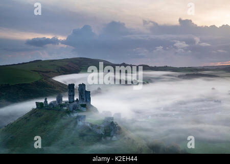 Corfe Castle im Nebel im Morgengrauen, Dorset, England, UK, November 2014, Stockfoto