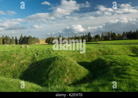 Überreste von Schützengräben aus dem Ersten Weltkrieg in Newfoundland Memorial Park an der Somme Schlachtfeld, Beaumont Hamel, Picardie, Frankreich, Oktober 2014. Stockfoto