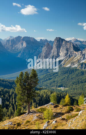 Blick über Cristallo und die Dolomiten aus Ciadin del Luodo, Provinz Belluno, Venetien, Italien, September 2015. Stockfoto