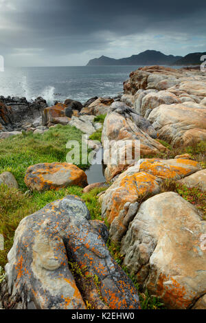 Kap der Guten Hoffnung am schwarzen Felsen, Cape Point, Südafrika, Dezember 2014. Stockfoto