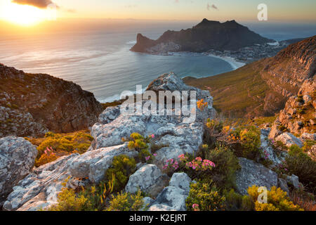 Hout Bay, vom Table Mountain National Park, Western Cape, Südafrika, Dezember 2014. Stockfoto