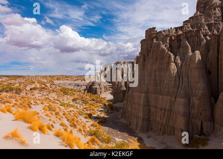 Rock pinnacles mit Tussock Gras (Festuca orthophylla), Ciudad del Encanto, Bolivien. Stockfoto