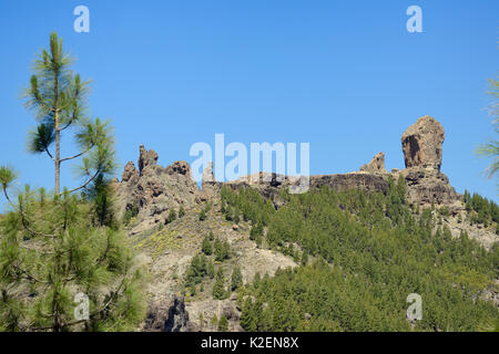 Roque Nublo und anderen vulkanischen Basalt Monolithen auf dem tablon Nublo Plateau, innerhalb einer UNESCO-Biosphärenreservat, Gran Canaria, flankiert von Kanarischen Kiefern (Pinus canariensis), in der Nähe von Tejeda, Mai 2016. Stockfoto