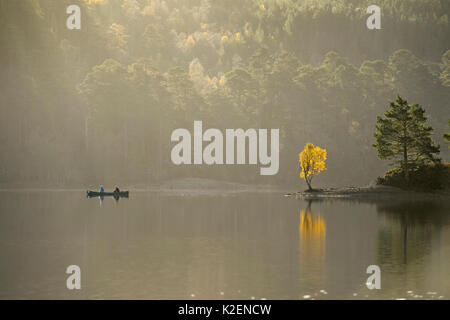 Paar Kanu auf dem Loch Beinn a&#39; Mheadhoin mit Birke (Betula pendula) und schottischen Kiefern (Pinus sylvestris) am Ufer, Glen Affric, Highlands, Schottland, November 2014. Stockfoto