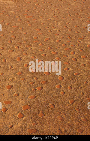 Luftaufnahme von Feenkreisen, Gerebes Plain, Namibia, September 2011. Stockfoto