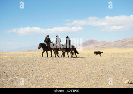 Drei Adler Jäger auf Mongolische Pferd mit ihren Hunden am Adler Jäger Festival, in der Nähe von Sagsai, Bayan-Ulgii Aymag, Mongolei Ankunft montiert. September 2014 .. Stockfoto