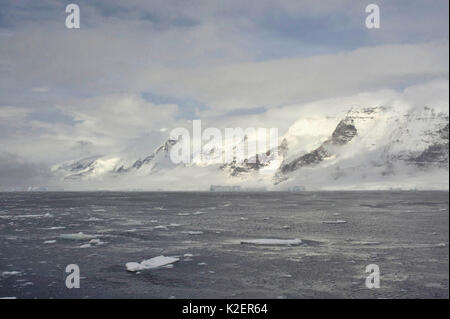 Sturge Island, Balleny Inseln, Antarktis, Februar. Stockfoto