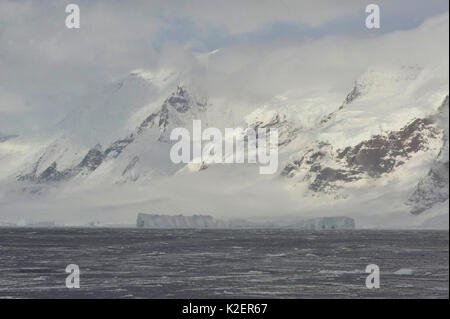 Sturge Island, Balleny Inseln, Antarktis, Februar. Stockfoto