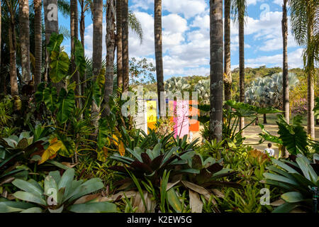 Botanischer Garten Inhotim, Kunstinstallation Helio Oiticica am Inhotim Institute, Brumadinho, Minas Gerais, Brasilien Stockfoto