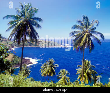 Owia Bucht auf der Luv Küste von St. Vincent.. Die Owia Salt Pond in der Ferne liegt. Owia, St. Vincent. West Indies. Stockfoto