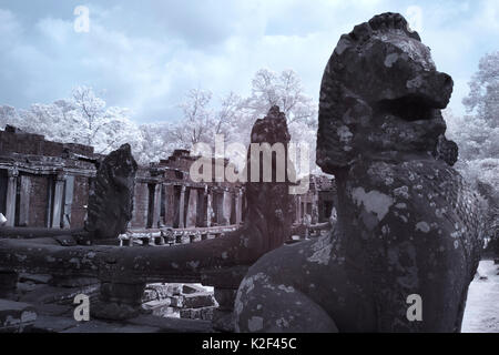 Angkor Thom erstaunlich realistischen virtuellen Gesicht steinerne Burg Kambodscha siem reap Stockfoto