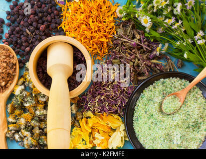 Eine Reihe von getrockneten Blumen und Beeren, Kräuter, Eichenrinde, Meersalz auf alten Holztisch. Alternative Medizin, Homöopathie Stockfoto