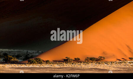 Sonnenaufgang von Düne 45 in Sossuvlei, Namib Naukluft National Park. Kontrast auf Dünen, die durch Leuchten am frühen Morgen. Stockfoto