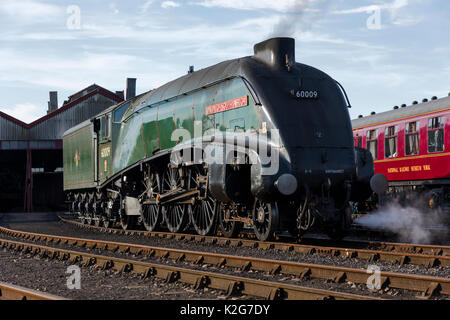 Flying Scotsman Dampflokomotive Stockfoto