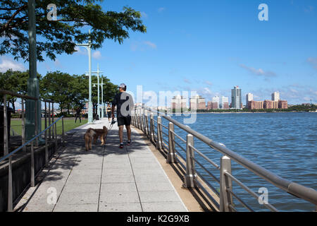 Mann, Hund mit Blick über den Hudson River nach New Jersey - New York - USA Stockfoto