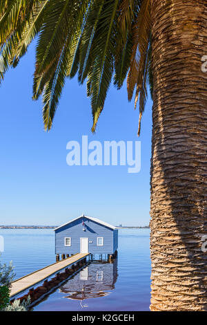 Palm Tree gerahmte Crawley Kante Boatshed auch als Blue Boat House auf dem Swan River in Matilda Bay, Crawley, Perth, Western Australia bekannt Stockfoto