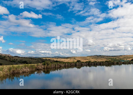 See spiegelnde Blau bewölkter Himmel Landschaft am Lake Eland Game Reserve KwaZulu-Natal in Südafrika Stockfoto