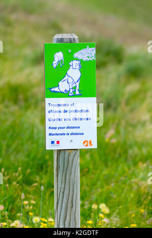 Anmelden Warnung der Bevölkerung von Hunden bewacht Schafe, Col de la Cayolle, Tal der Ubaye/Vallée de l'Ubaye Alpes Haute Provence, Provence, Frankreich, Juli. Stockfoto