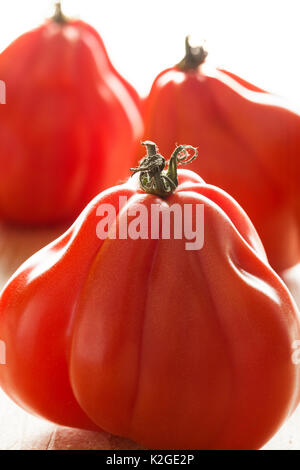 Coeur de Boeuf Tomaten Nahaufnahme Stockfoto