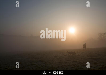 Dog Walker in Hampstead Heath auf einem misty Dawn, London, England, UK, März 2014. Stockfoto