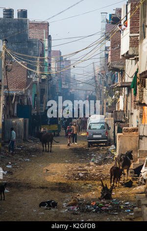 Urban Street in Dehli mit Umweltverschmutzung, Rinder und Hunde. Delhi, Indien Stockfoto