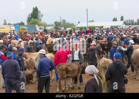 Menschen und Vieh Karakol Tiermarkt. Kirgisistan, Juli 2016. Stockfoto