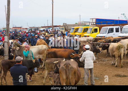 Menschen und Vieh Karakol Tiermarkt. Kirgisistan. Juli 2016. Stockfoto