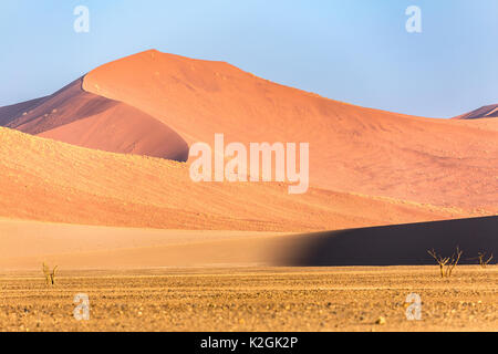 Namibwüste, Sossusvlei. Sanddünen bei Sonnenuntergang, Namibia, Afrika Stockfoto