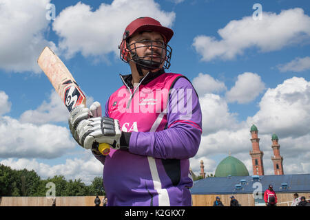 22. Rechtliche Brüderlichkeit Cricket Turnier, Singh und Associates Anwälte Rasen Sport Management Bradford England 9. Juni 2017 Stockfoto