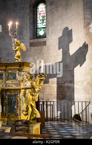 Duomo di San Martino, der Kathedrale von Lucca, Toskana, Italien Stockfoto