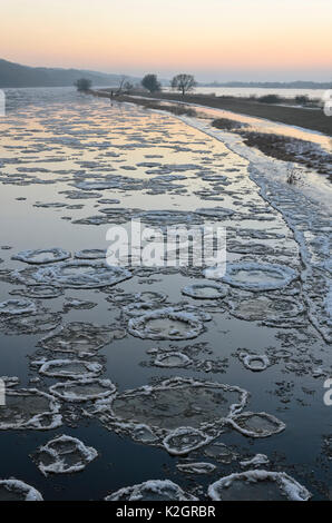 Drifting Eis auf der oder, Nationalpark Unteres Odertal, Deutschland Stockfoto