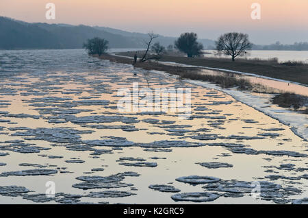 Drifting Eis auf der oder, Nationalpark Unteres Odertal, Deutschland Stockfoto