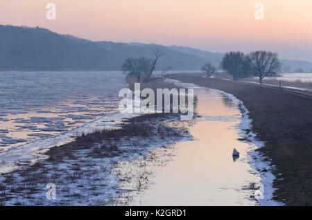 Drifting Eis auf der oder, Nationalpark Unteres Odertal, Deutschland Stockfoto