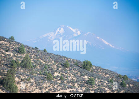 Mystische Mt. Shasta schwebt im Hintergrund einer robusten Kalifornien Wüste im Vordergrund. Stockfoto