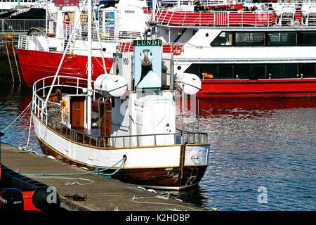 Kleines Boot für die Touristen auf papageitaucher Ausflüge zu nahe gelegenen Inseln verwendet wird in Reykjavik Hafen angedockt. Stockfoto